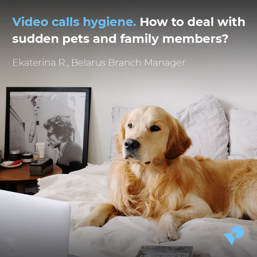 Video calls hygiene. How to deal with sudden pets and family members?