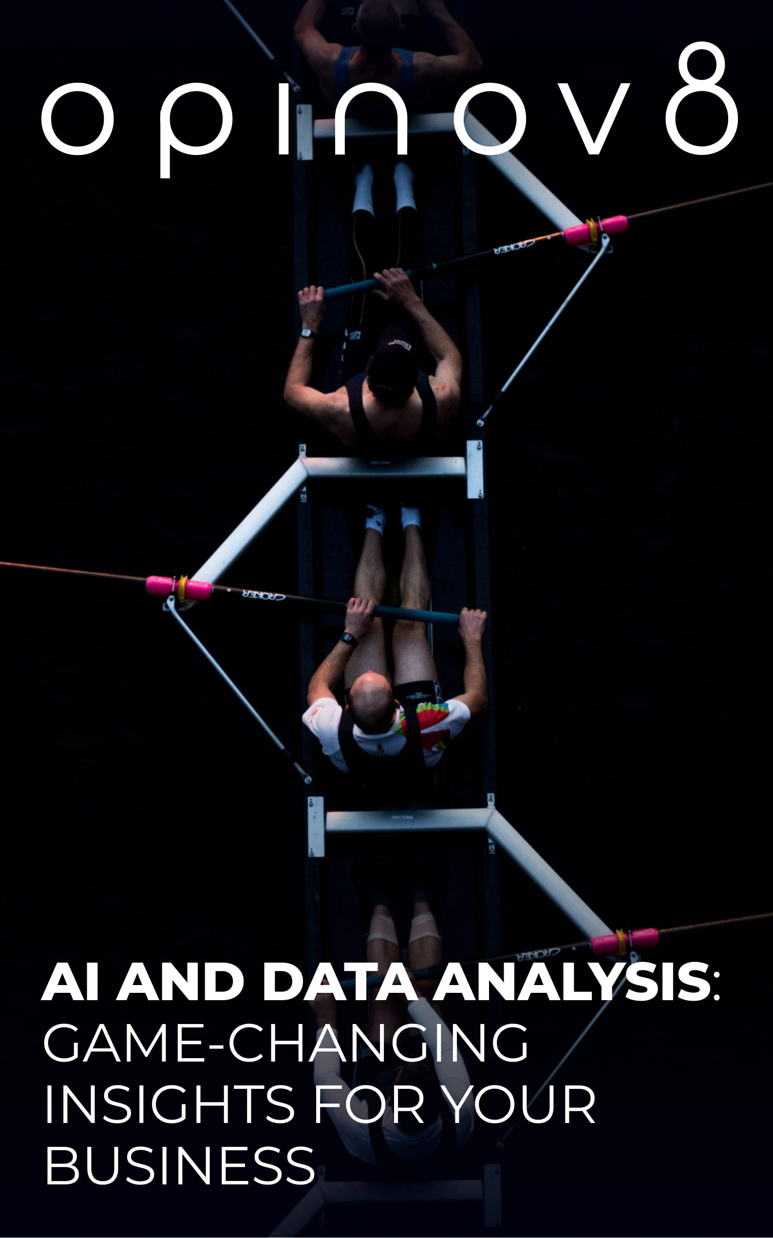 AI and Data Analysis Services