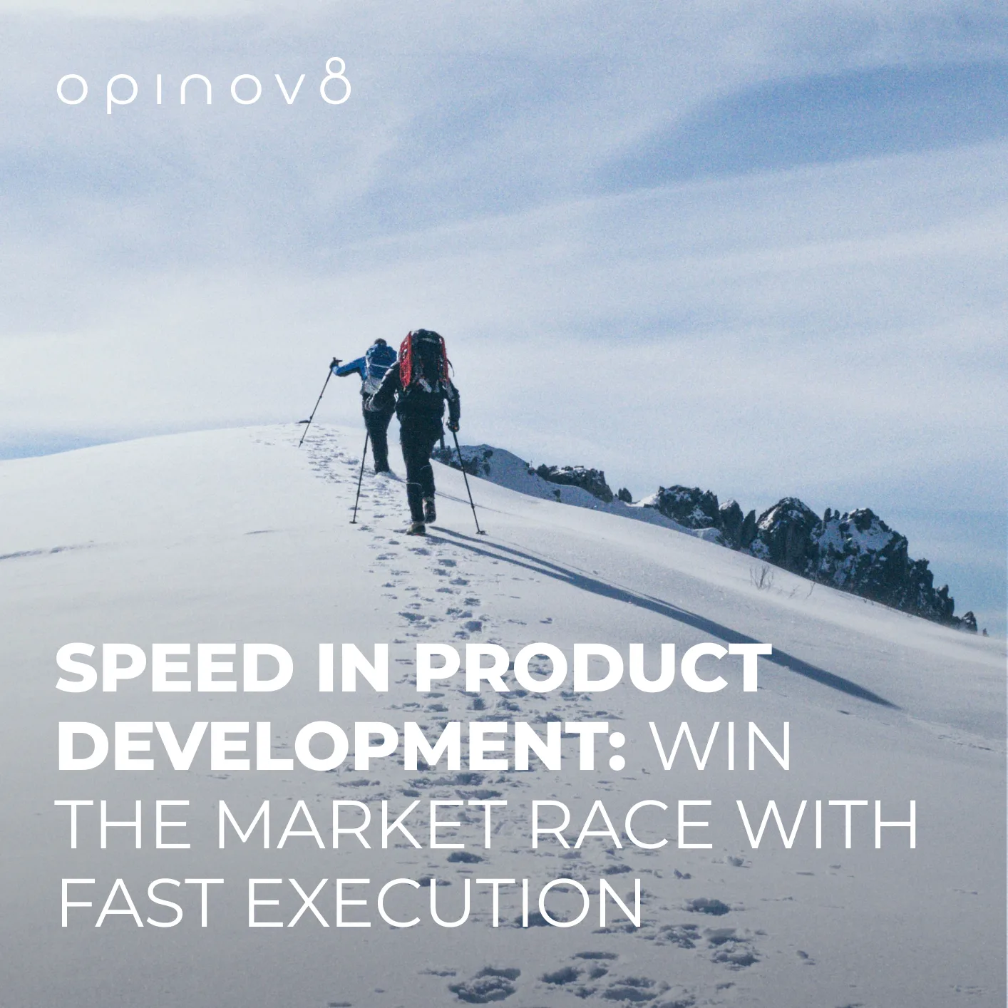 Speed in Product Development