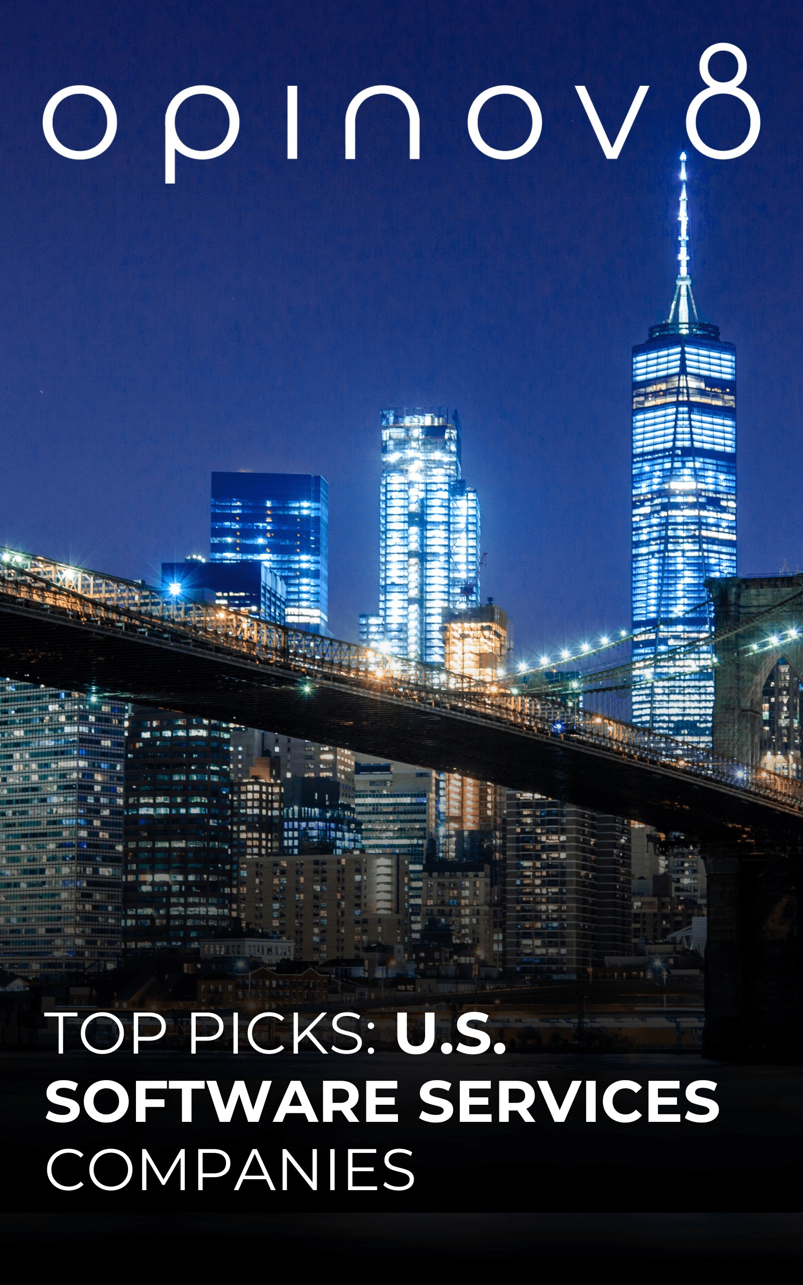 View of New York City symbolizing the hub of U.S. software services companies.