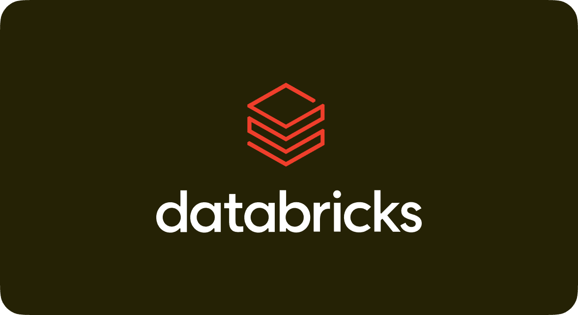 Databricks Partner
